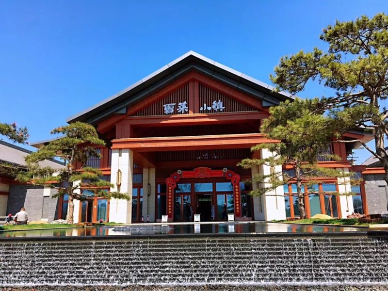 老年旅游团：活力不老，乐在旅途