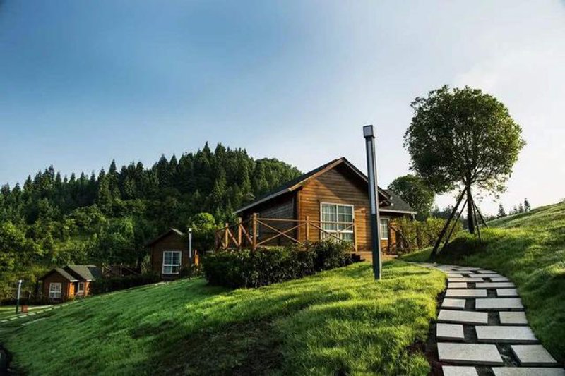 佳木斯康养旅游：自然怀抱中的静谧疗愈之旅